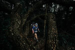 BIB: 
                            <button type="button" onclick="openModal(25702916)" class="btn btn-primary btn-sm float-right btn-popup" data-toggle="modal" data-target=".modal-high-quality">
                        <i class="fas fa-shopping-cart"></i> Add to Cart
                    </button>
                                            <button type="button" onclick="isThisMe(25702916, true)" class="btn btn-success btn-sm float-right btn-popup btn-isme hidden" data-toggle="tooltip" data-placement="bottom" title="นี่คือรูปของคุณใช่ไหม คลิกที่นี่เพื่อเอาเข้าอัลบั้ม">
                        <i class="fas fa-plus"></i> Add to album
                    </button>
                    <button type="button" onclick="isThisMe(25702916, false)" class="btn btn-warning btn-sm float-right btn-popup btn-isnotme hidden">
                        <i class="fas fa-ban"></i> Remove from album
                    </button>